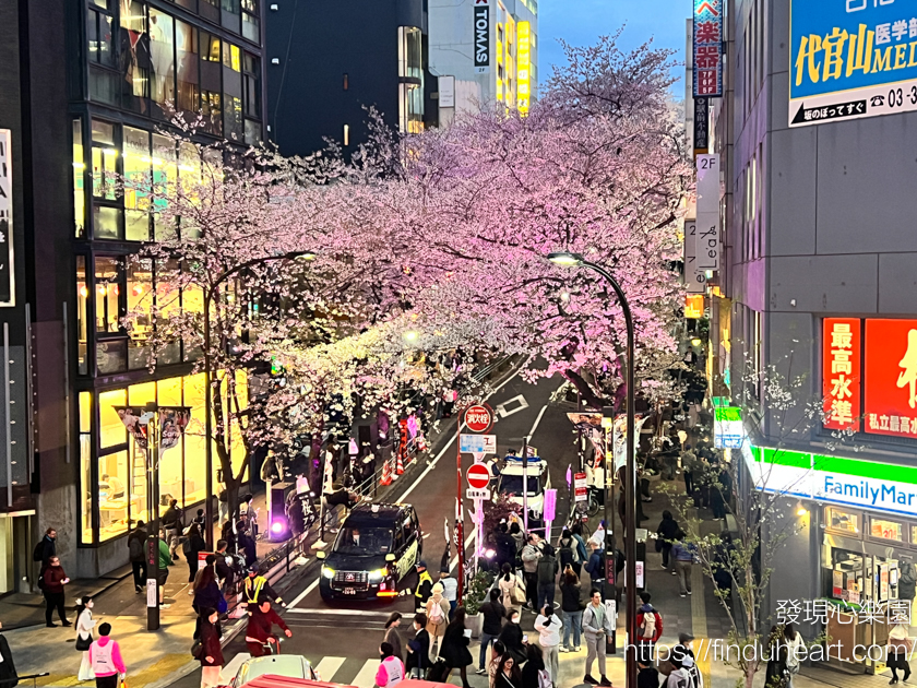東京市區夜櫻景點推薦:2026澀谷櫻丘櫻花節,櫻花坂夜櫻點燈與粉紅燈籠海 東京市區夜櫻景點推薦:2026澀谷櫻丘櫻花節,櫻花坂夜櫻點燈與粉紅燈籠海