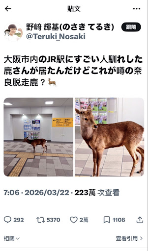 關西奇聞|奈良鹿的史詩級大逃亡!從AI假圖到官方認證,大縱走路線圖曝光震驚全網! 關西奇聞|奈良鹿的史詩級大逃亡!從AI假圖到官方認證,大縱走路線圖曝光震驚全網!