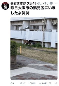 關西奇聞|奈良鹿的史詩級大逃亡!從AI假圖到官方認證,大縱走路線圖曝光震驚全網! 關西奇聞|奈良鹿的史詩級大逃亡!從AI假圖到官方認證,大縱走路線圖曝光震驚全網!