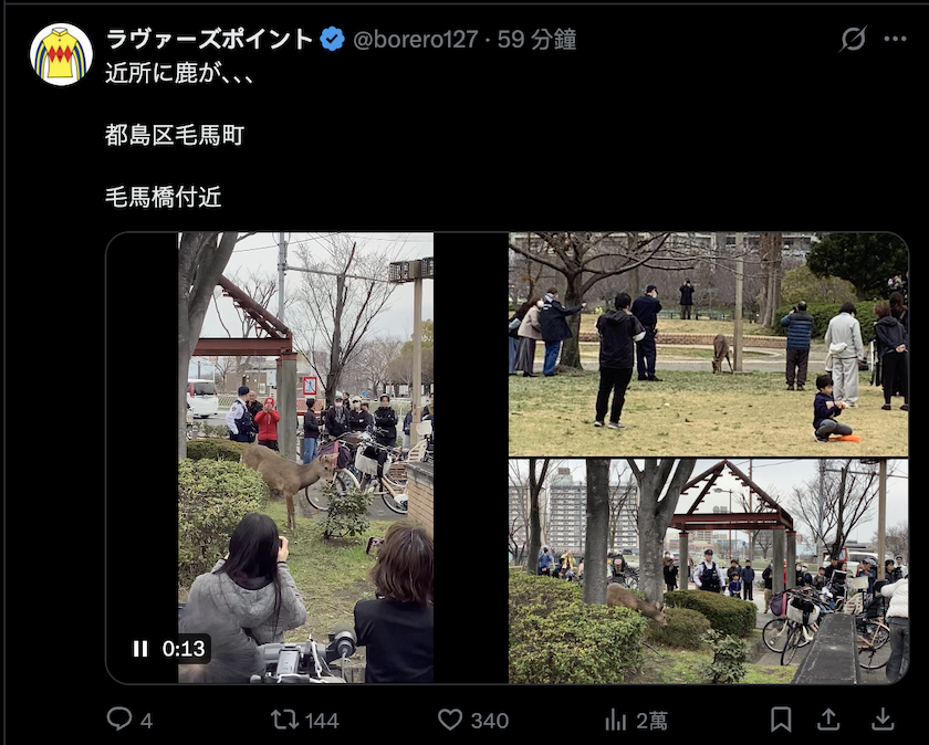 關西奇聞|奈良鹿的史詩級大逃亡!從AI假圖到官方認證,大縱走路線圖曝光震驚全網! 關西奇聞|奈良鹿的史詩級大逃亡!從AI假圖到官方認證,大縱走路線圖曝光震驚全網!