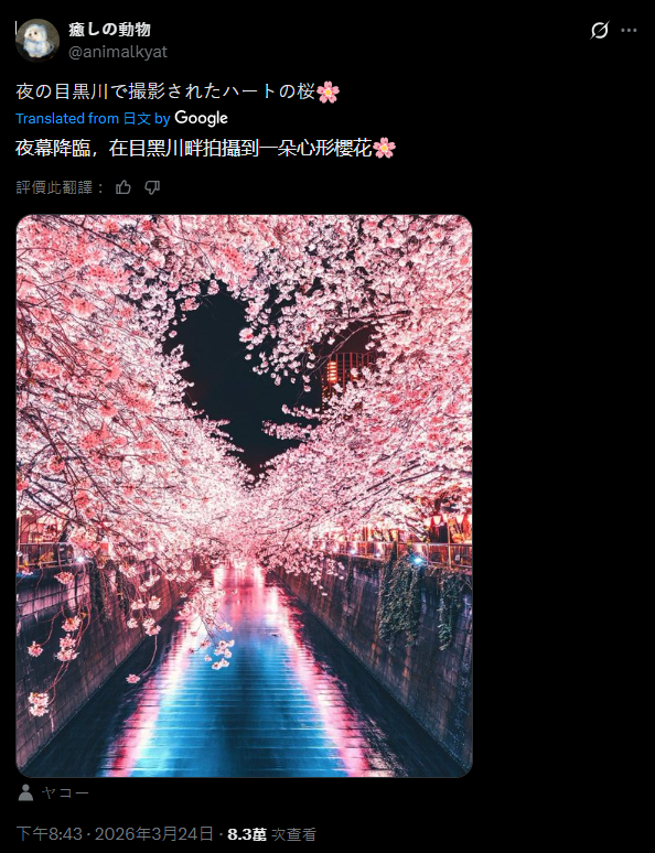 夢幻美照背後的現實:從目黑川櫻花到淺間神社,日本過度旅遊的省思 夢幻美照背後的現實:從目黑川櫻花到淺間神社,日本過度旅遊的省思