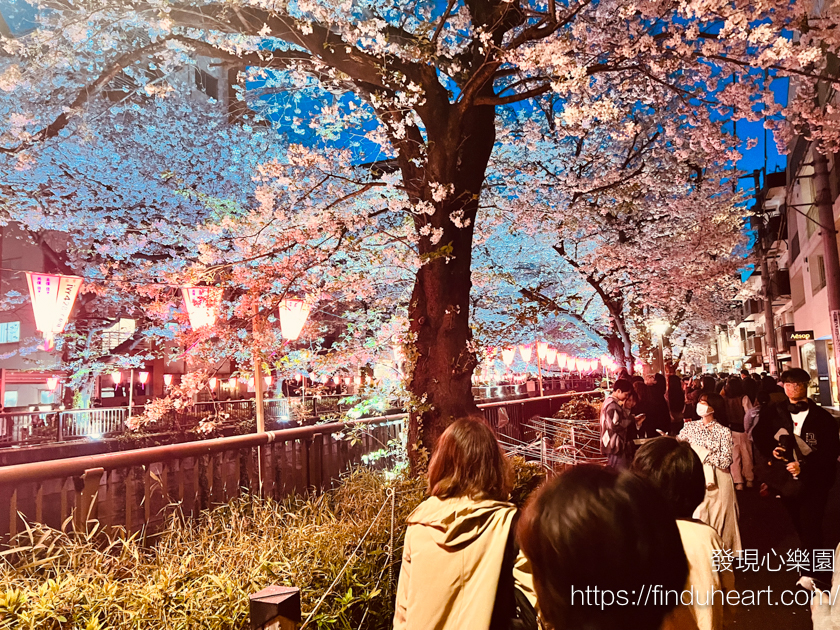 夢幻美照背後的現實:從目黑川櫻花到淺間神社,日本過度旅遊的省思 夢幻美照背後的現實:從目黑川櫻花到淺間神社,日本過度旅遊的省思